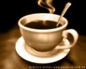 http://www.3garaat.com/vb/image.php?type=sigpic&userid=15961&dateline=129065  5875